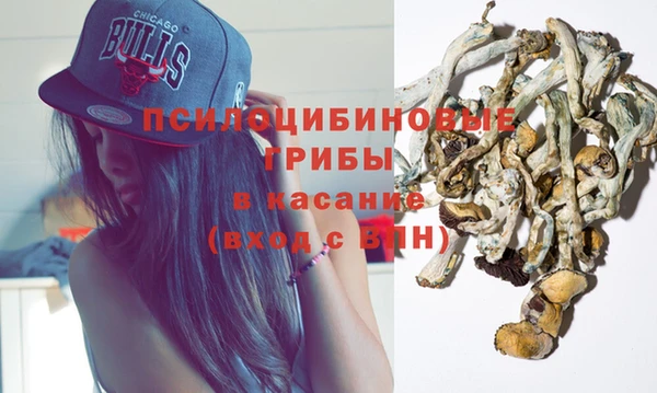 дживик Приозерск