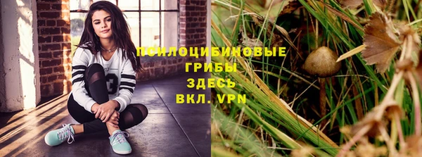 дживик Приозерск